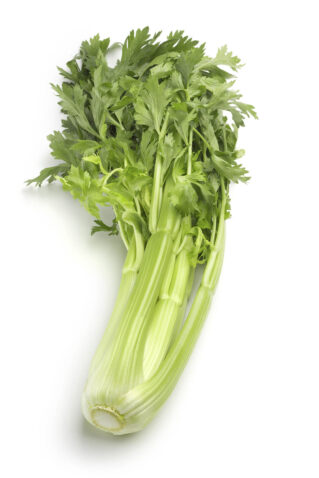 Vegetable image