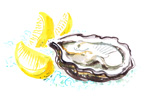 Oyster